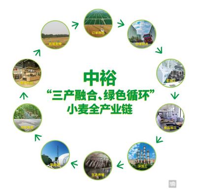 1846亿!中国粮食产业第一市的精明发展之路